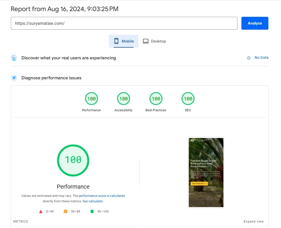 Smi mobile speed score