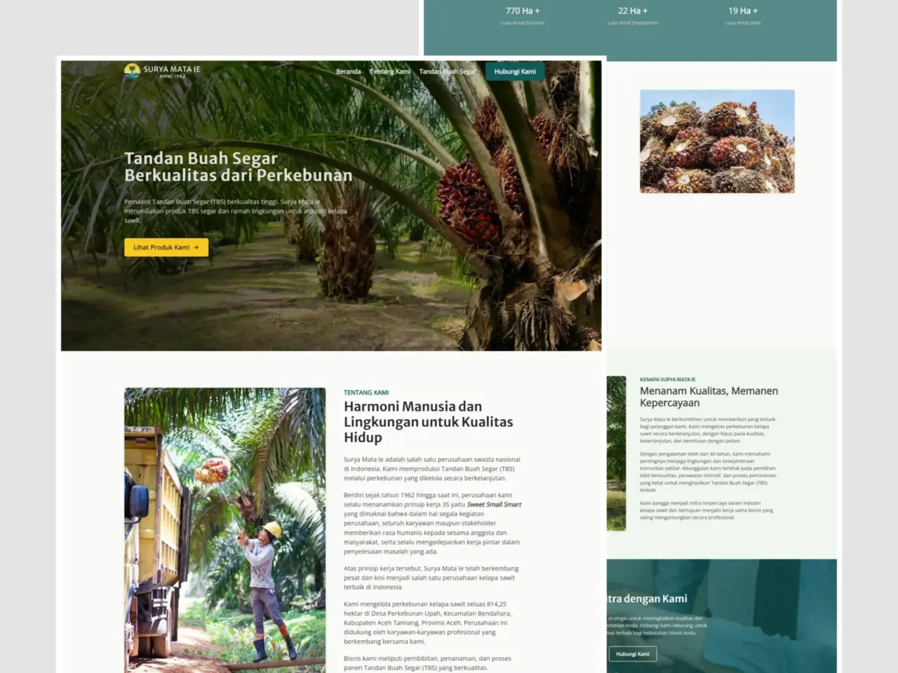 Surya Mata Ie Layout Design