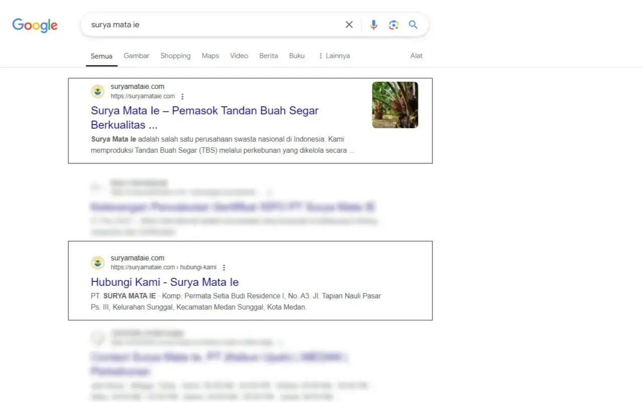 Suryamataie seo serp result