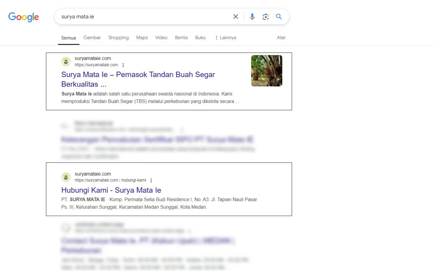 Suryamataie seo serp result