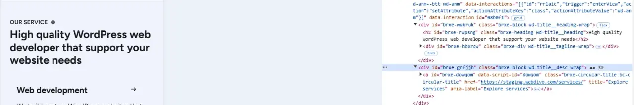 Before using conditional snippet